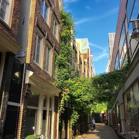 City Studios